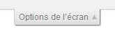 Options-de-l-ecran-WordPress