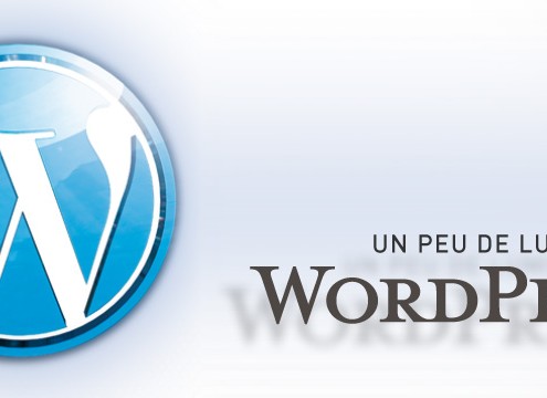 Lexique WordPress par Fabrice Court
