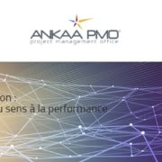 ankaa pmo creation de site WordPress