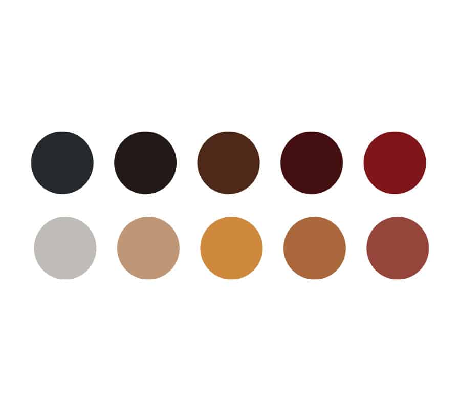 Couleur deduites creation charte graphique therapeuthe holistique